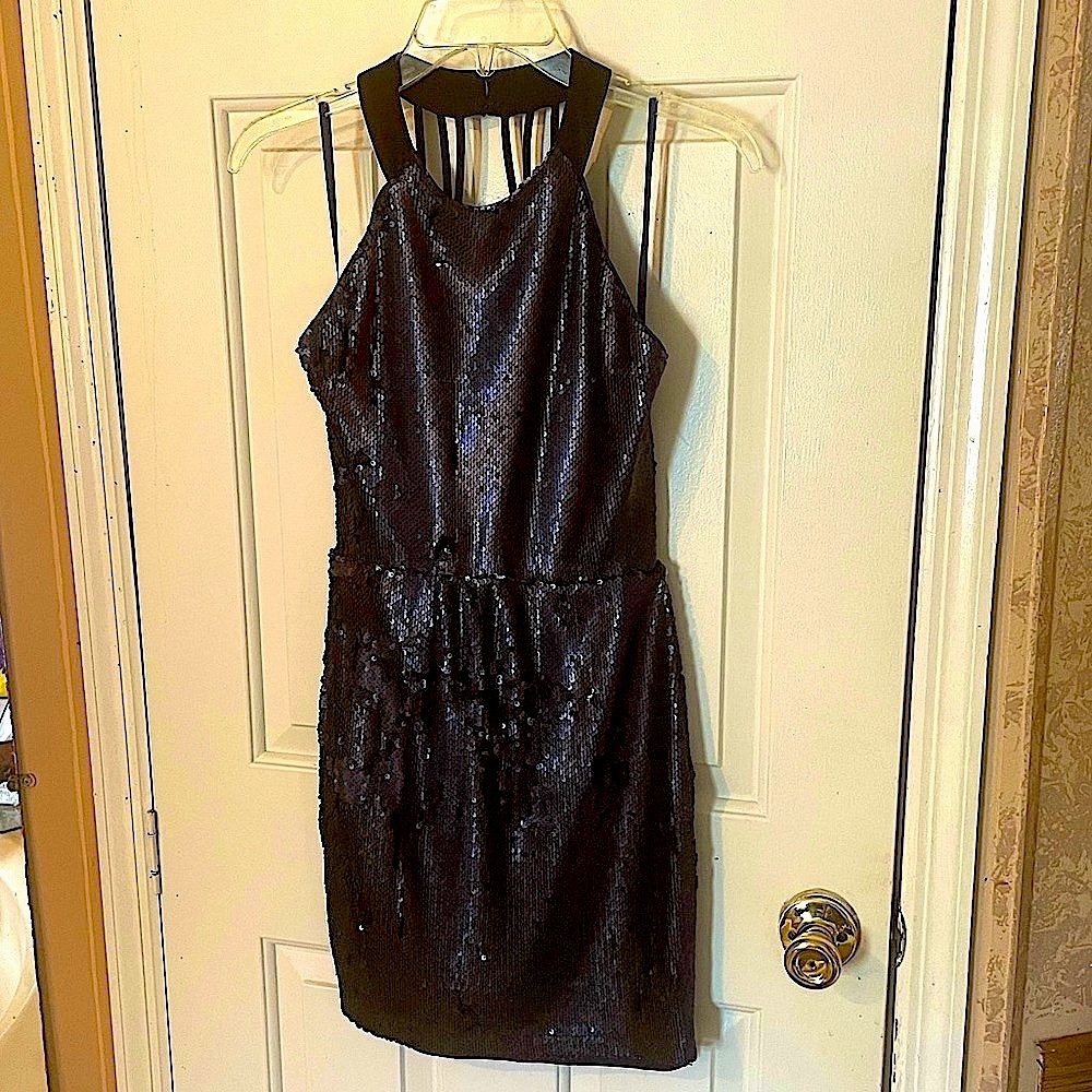 Lulu’s Boutique Blue Sequin Dress